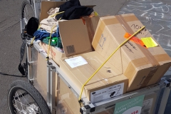 Face Shields des Wissenschaftsladen Potsdam e.V. und Kleidung der AWO Schatztruhe für Geflüchtete